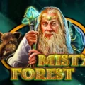 Misty Forest