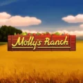 Molly’s Ranch