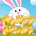 Money Bunny