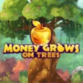 Money Grows on Trees