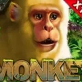 Monkey