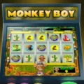 Monkey Boy