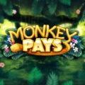 Monkey Pays