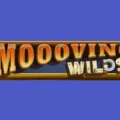 Moooving Wilds