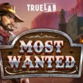 Most Wanted