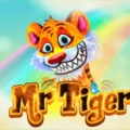 Mr Tiger
