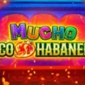 Mucho Loco Habanero