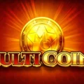 Multi Coins
