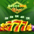 Multi Hot Ways