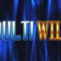 Multi Wild