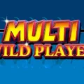 Multi Wild Player