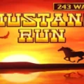 Mustang Run