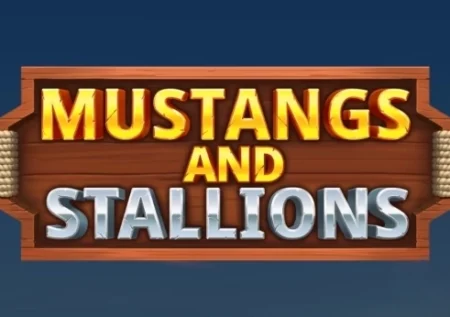 Mustangs and Stallions