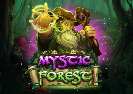 Mystic Forest