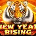 New Year Rising
