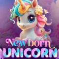 Newborn Unicorn