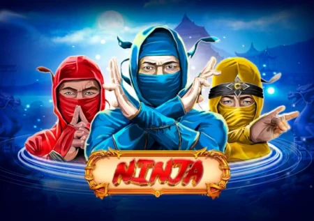 Ninja