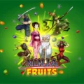 Ninja Fruits