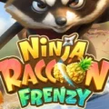 Ninja Raccoon Frenzy