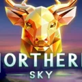 Northern Sky
