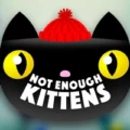 Not Enough Kittens