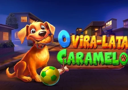 O Vira-lata Caramelo