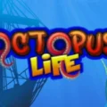 Octopus Life