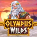 Olympus Wilds