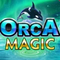Orca Magic