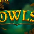 Owls