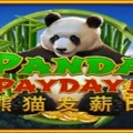 Panda Payday