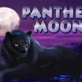 Panther Moon