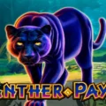 Panther Pays