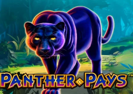 Panther Pays