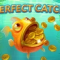 Perfect Catch