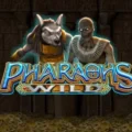 Pharaohs Wild