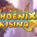 Phoenix Rising