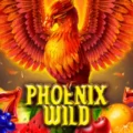 Phoenix Wild 3×3