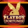 Playboy Fortunes