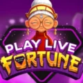 Playlive Fortune