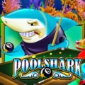 Pool Shark
