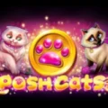 Posh Cats
