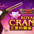 Power Prizes – Royal Crane