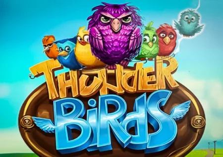 Power Zones: Thunder Birds