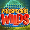 Prospector Wilds