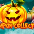 Pumpkin Collection