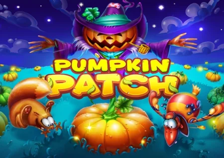 Pumpkin Patch