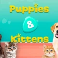 Puppies & Kittens