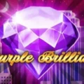 Purple Brilliant