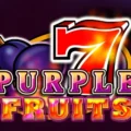 Purple Fruits